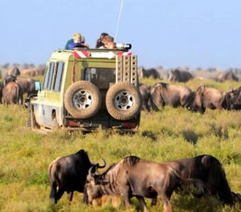 4-Day, 3 Nights Naivasha & Masai Mara Safari