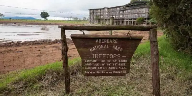 the ark lodge, aberdares