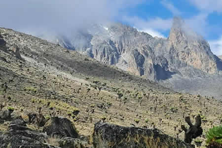 Lets Go Mt. Kenya